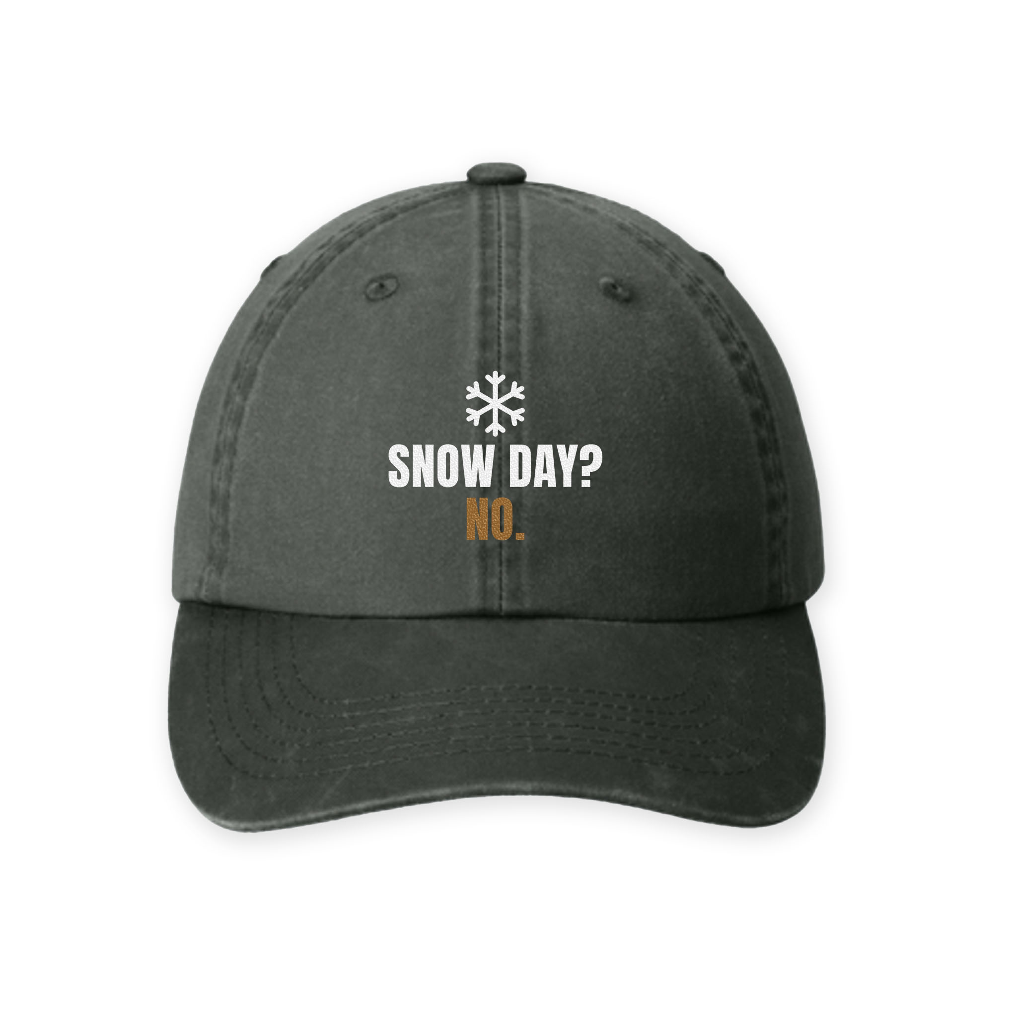 Snow Day? No. Cap — Dreamship production preview